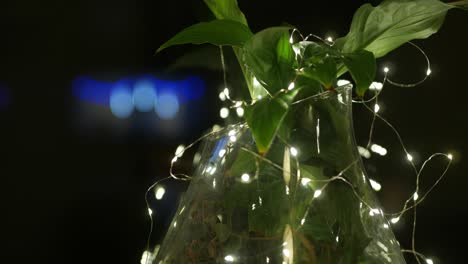 planta decorada con muchas pequeñas luces en fondo oscuro, ideas de decoración para el hogar