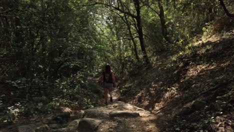 a black and white dog and it’s female owner walking through a forest