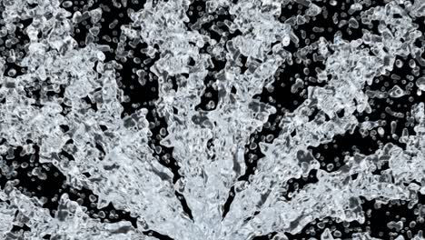 el bucle de salpicaduras de agua con gotas en fondo negro. ilustración en 3d.
