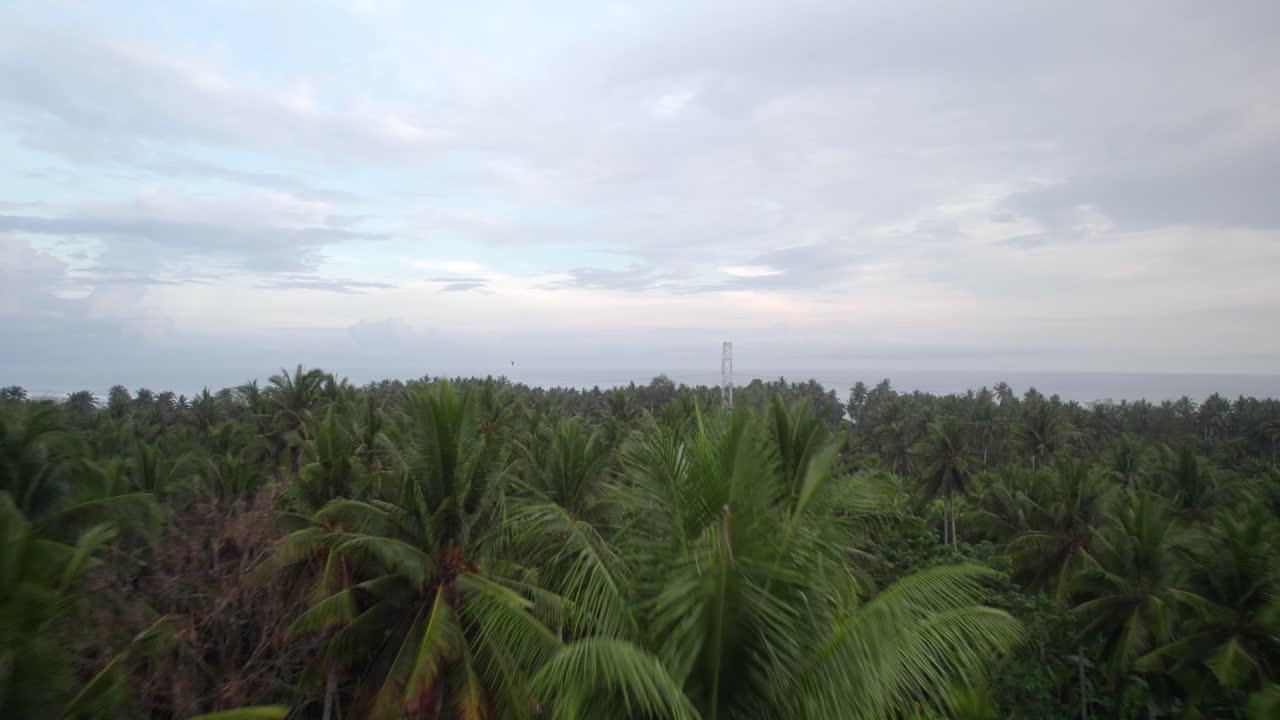 섬 낙원 인도네시아의 서쪽 발리 공중 정글 열대 우림 여행 휴가 목적지, 야자수 무인 항공기가 닫힙니다.