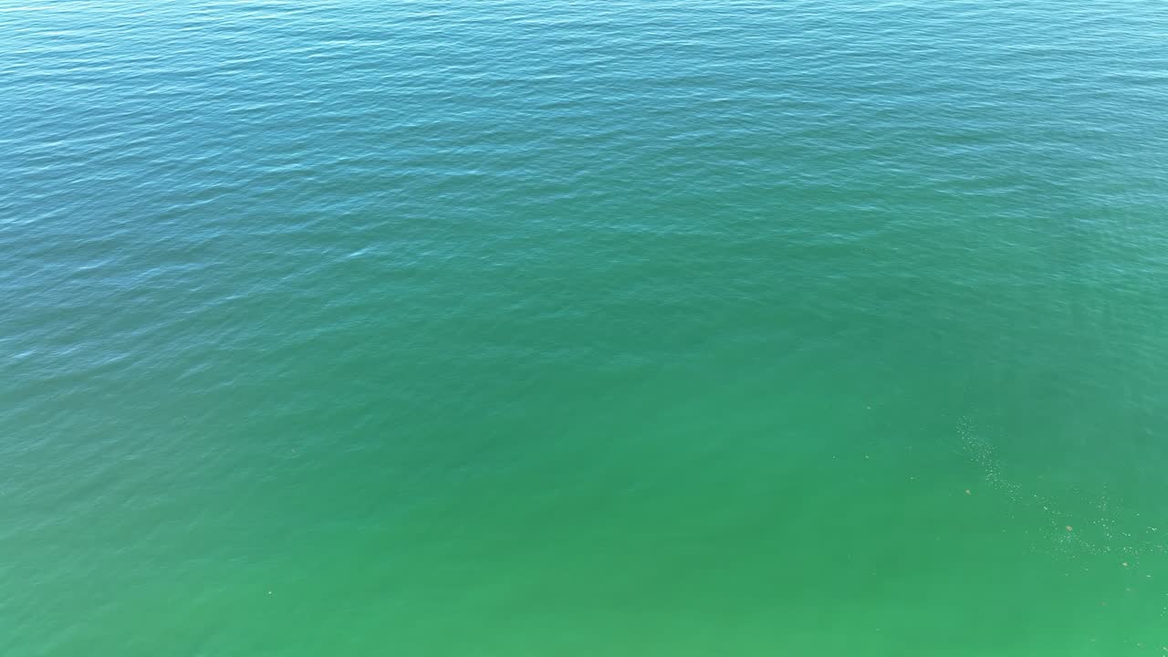 Clear ocean waters glisten under the sun, offering a tranquil view of Cape Cod's Atlantic coast