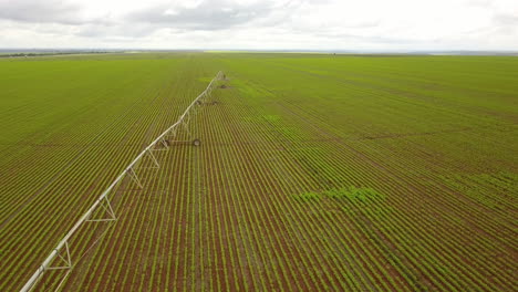 volando sobre un campo de cultivo en américa del sur con un largo sistema de riego que atraviesa el campo