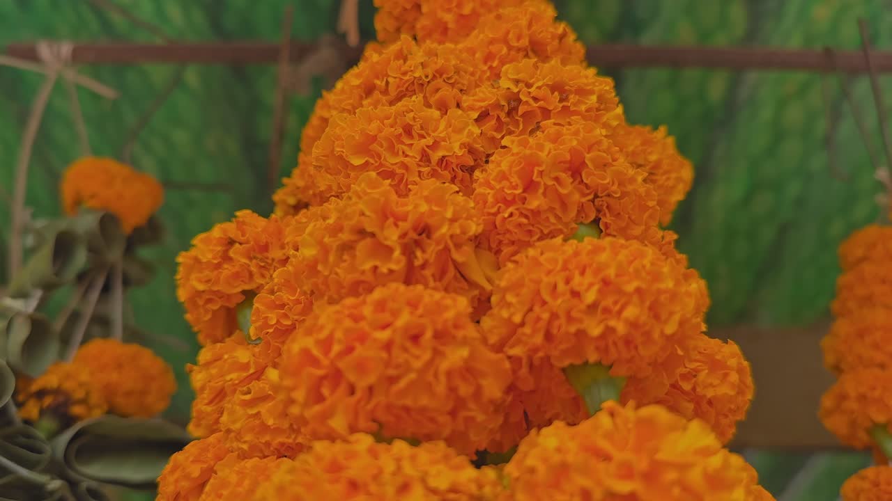 Camera tracks downward over a thick orange marigold garland inside a shop, revealing textured petals and layered blooms against a green festive backdrop