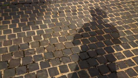 a man casting his own shadow while standing on a brick street pavement as other people pass by casting their own shadows as well