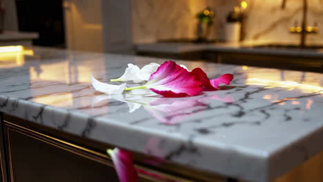 elegant kitchen with falling flower petals