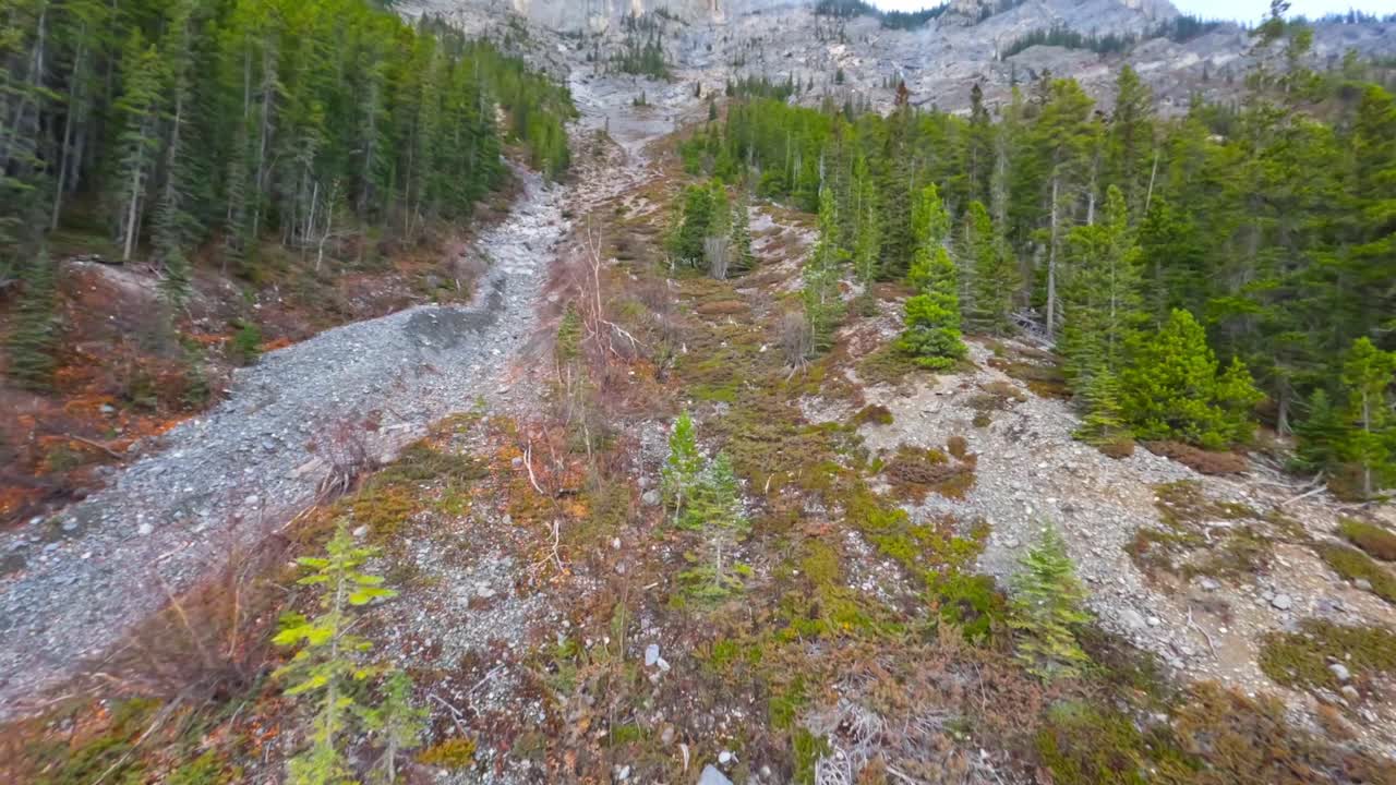 la etimología de la geología revela desde la orilla de la carretera hasta el pico de la montaña los 15 de los 20 tipos de piedra caliza encontrados en una roca.