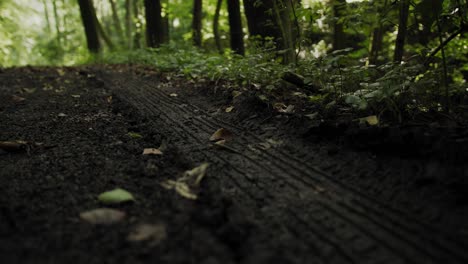 trails of a car in the mud