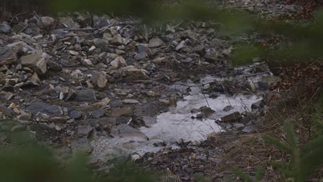 rural scene of water flowing smoothly between stones, padure, latvia