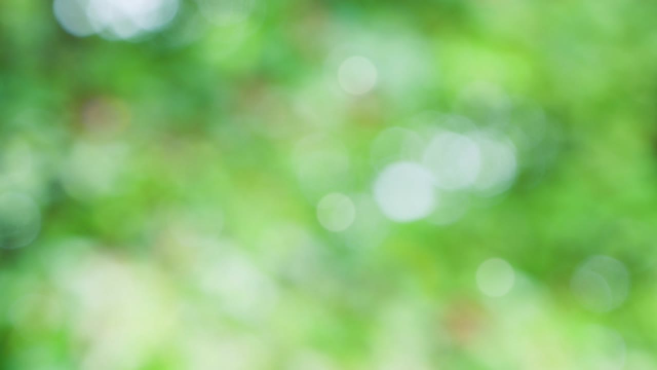 fondo de resorte abstracto con bokeh