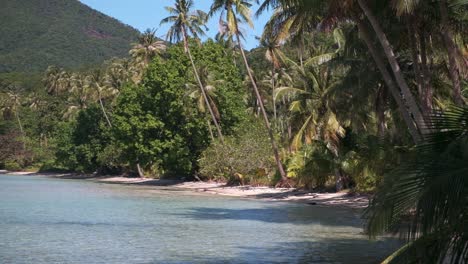 4K-Pan-Aufnahmen-Von-Tropischen-Inselpalmen-Und-Strand-Mit-üppigen-Bergen-Dahinter