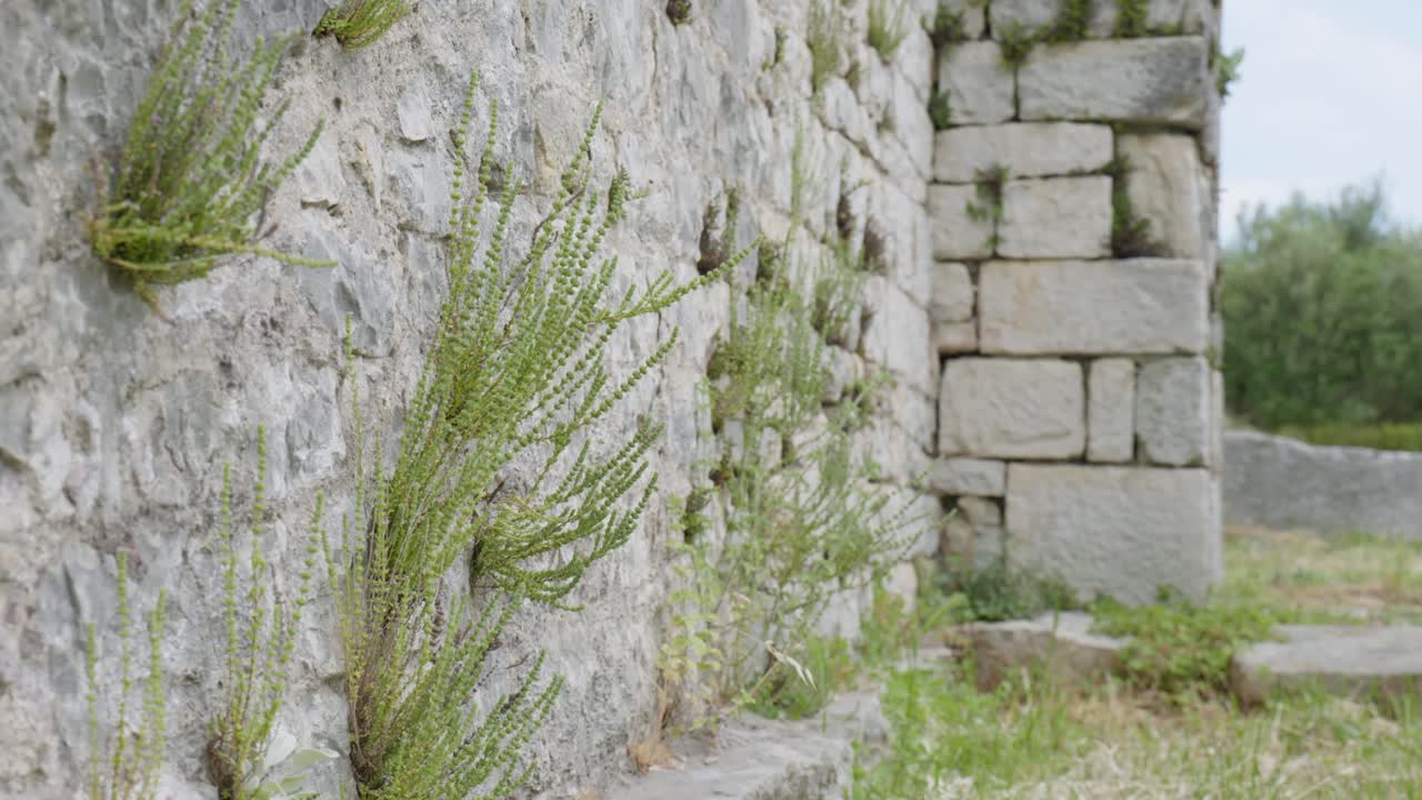 Roman ruins from the ancient province Capital of Dalmatia. Salona, Croatia, clip 6