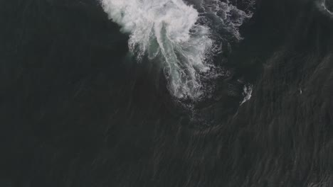 bommie waves crashing on a rock - dangerous surfing spot in gordons bay, sydney - aerial top-down