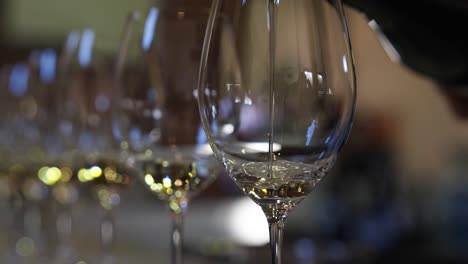 white wine being poured into a row of fine glasses, professional wine tasting event. selective focus shot