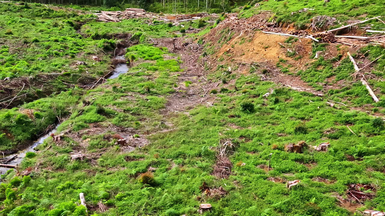Train passes through lush landscape from Ella to Kandy, countryside views in Sri Lanka