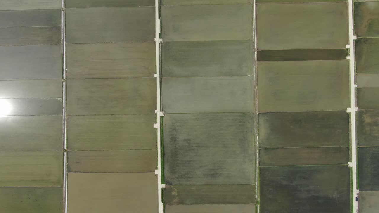 arrozales cuadrados coreanos, incheon