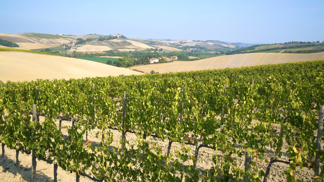 paisaje de viñedos en la toscana , italia