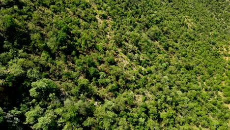 Vista-Aérea-De-Drones-De-áfrica