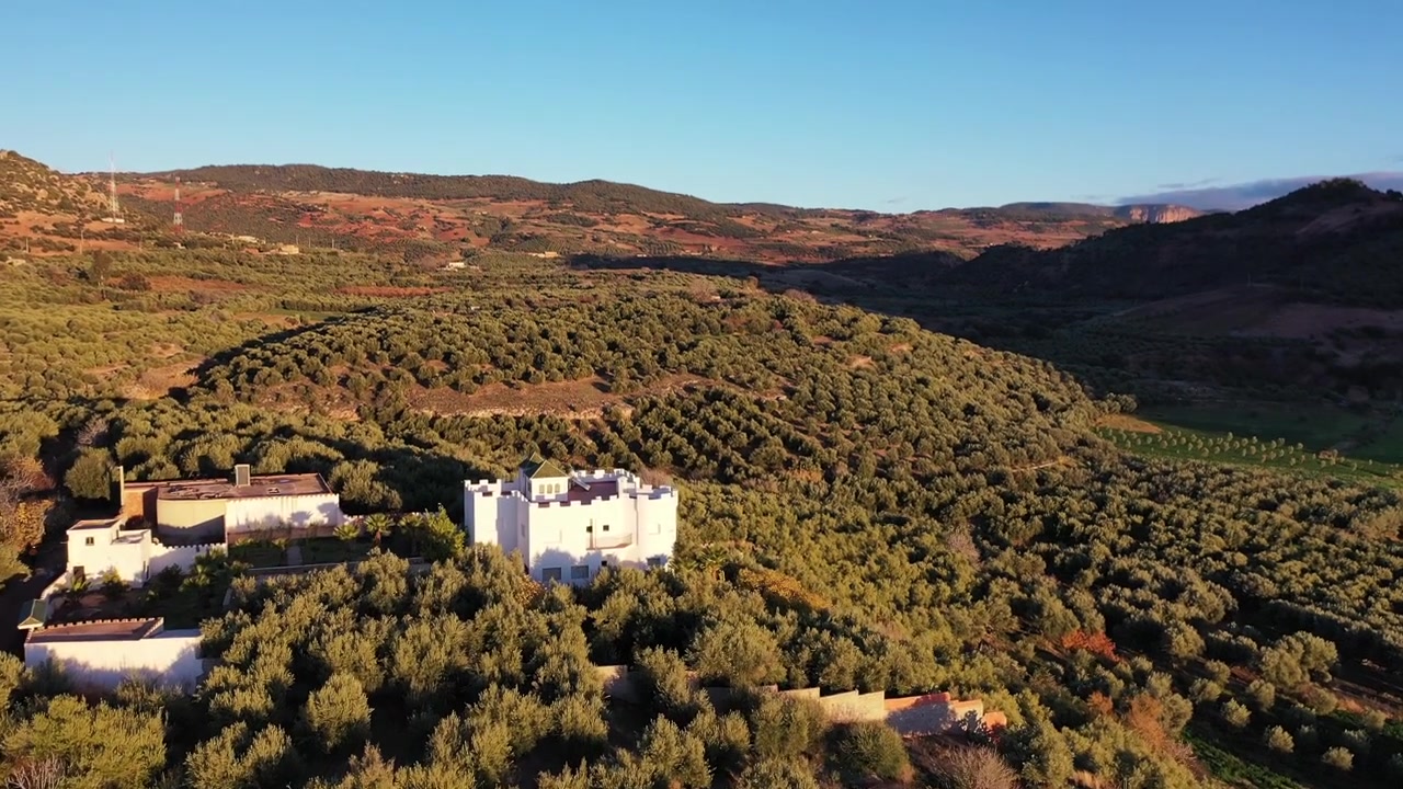 Vista aérea cinematográfica con dron de un valle de olivos y paisaje montañoso rural durante la hora dorada en el Atlas Medio, Marruecos, ideal para proyectos de viajes, naturaleza y campo