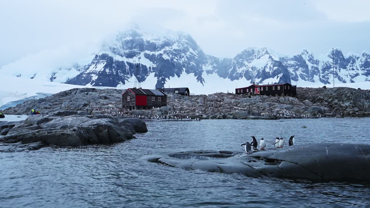 Penguins in Antarctica near a Research Station