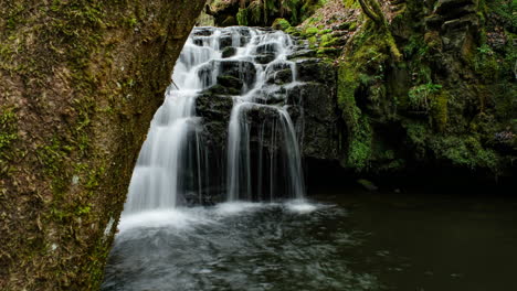 waterfall revealed behind a large tree in forest in the uk