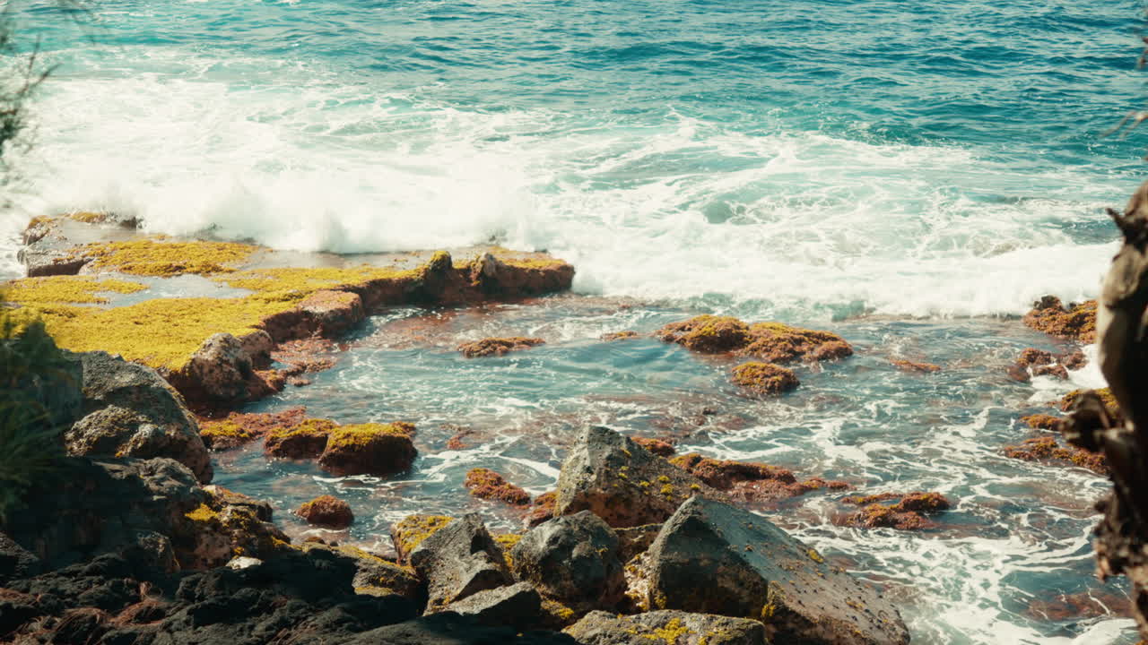 Foamy turquoise waves crash against jagged rocks covered in golden moss and seaweed, creating a rhythmic dance of motion and texture along the untamed coastline