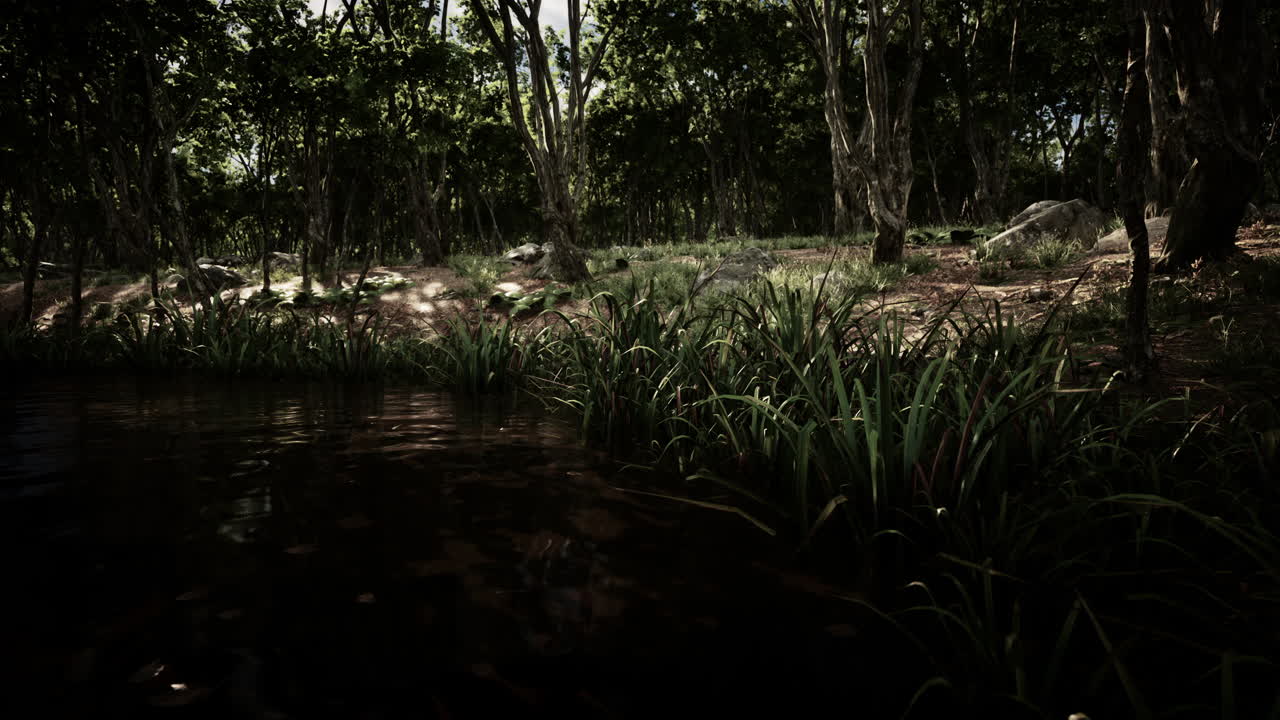 Fog in the pond on a sunny morning