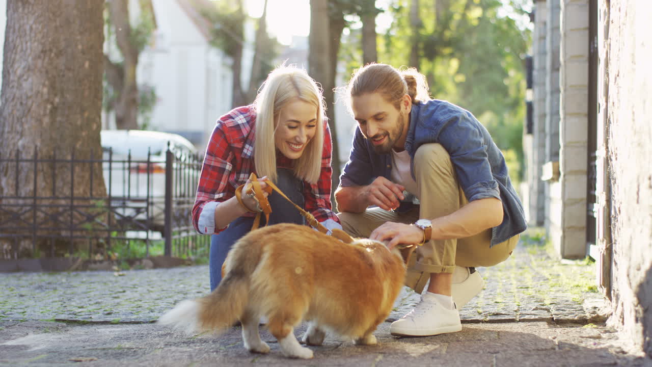 pareja joven agazapada en la calle y acariciando a su perro corgi en un día soleado