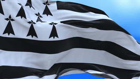 seamless loop of brittany flag.