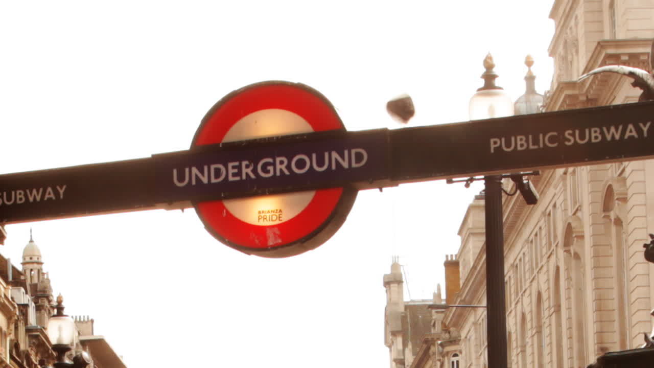 피카딜리 러시 10