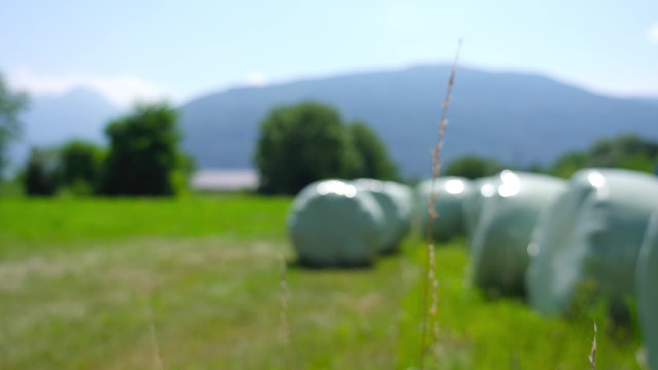 플라스틱 봉투로 포장된 알