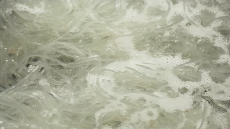 boiling glass noodles