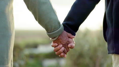 pareja, tomados de la mano y caminando en un parque