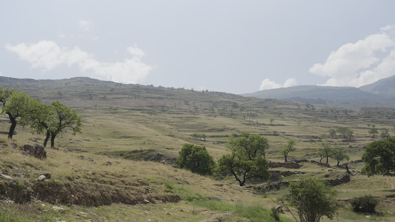 Paesaggio montuoso con terrazzamenti