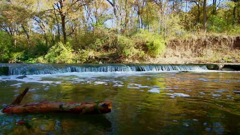 über-Einem-Bunten-Wasserabschnitt-Und-In-Der-Nähe-Eines-Stücks-Treibholz-Positioniert,-Das-Auf-Und-Ab-Schaukelt,-Aber-An-Der-Gleichen-Stelle-Bleibt