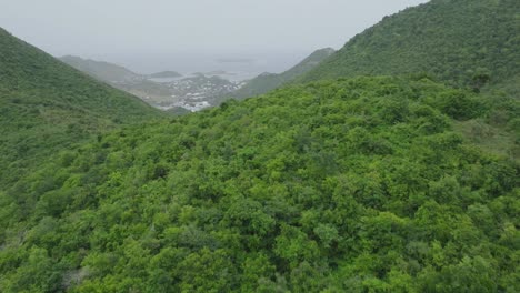 Drone-flying-through-mountains-filled-with-greenery-of-Saint-Martin-during-cloudy-day-in-Carribean-Island