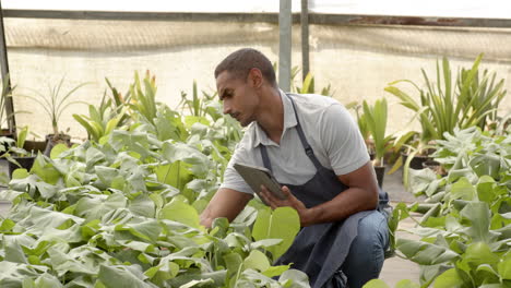 man with tablet tending to plants in greenhouse nursery