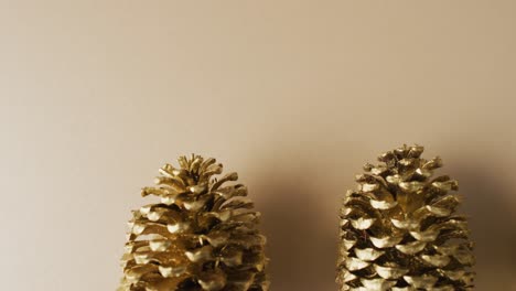 Video-of-pine-cones-lying-on-beige-surface