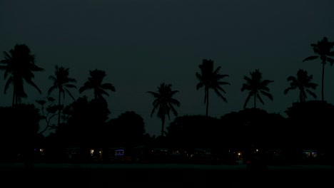 Coconut-Palm-Trees-In-Silhouette-With-Illuminated-Stalls-At-Night-On-The-Coast-Of-Kuakata,-Bangladesh