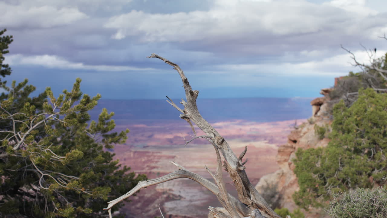 филиал каньонлендс0