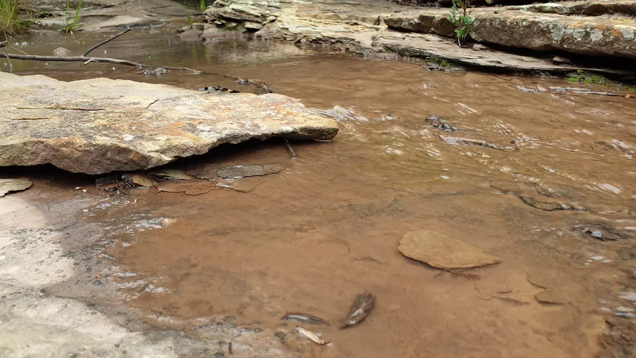 arroyo de agua de manantial de montaña corriendo por enormes losas de piedra arenisca de roca con musgo verde, algas y plantas verdes - agua potable cristalina, meditación tranquila y pacífica naturaleza al aire libre