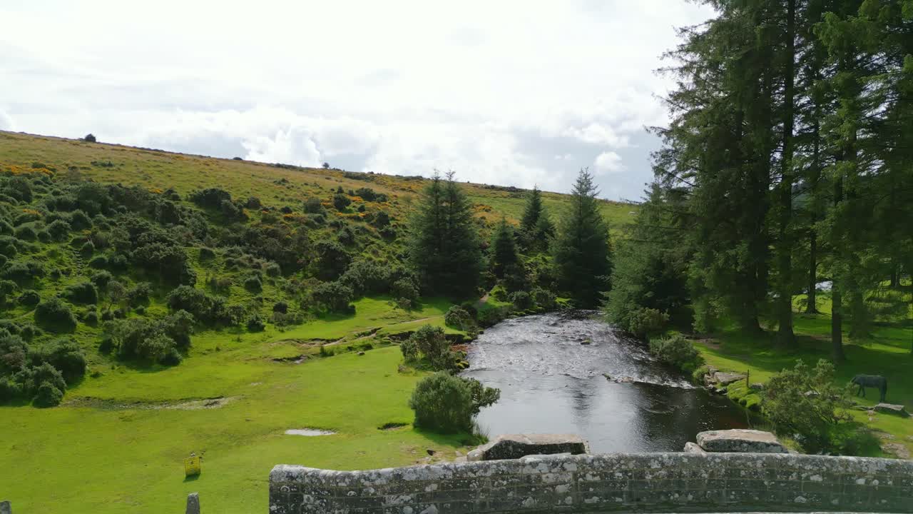 흐린 날 에 숲 을 가로질러 흐르는 강 의 영화적 인 헬리 ⁇ 터  ⁇