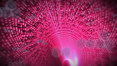 animación de isohypses sobre un túnel hecho de luces rosadas