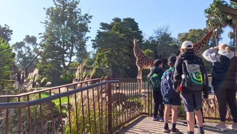 visitors feeding and observing a giraffe