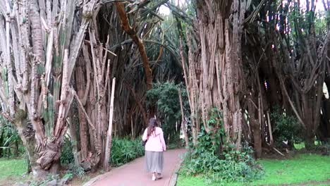 woman walking into cactus forest on hotel grounds, kenya