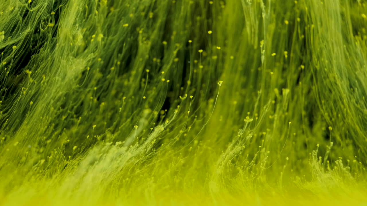 물 속의 다채로운 잉크 페인트 배경은 이처럼 물 에서 잉크가 흐른다.