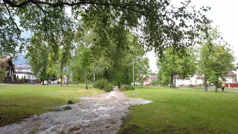 暴雨之後,一條流過公園的水流泛濫