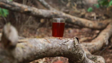 transparent small glass filled with black tea placed on a wooden log in wayanad district, kerala