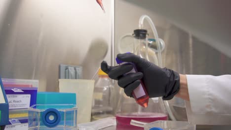 extracción de células del fondo de un frasco de cultivo de tejidos