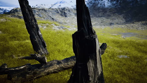 ancient wooden remnants in a vibrant green valley surrounded by mountains
