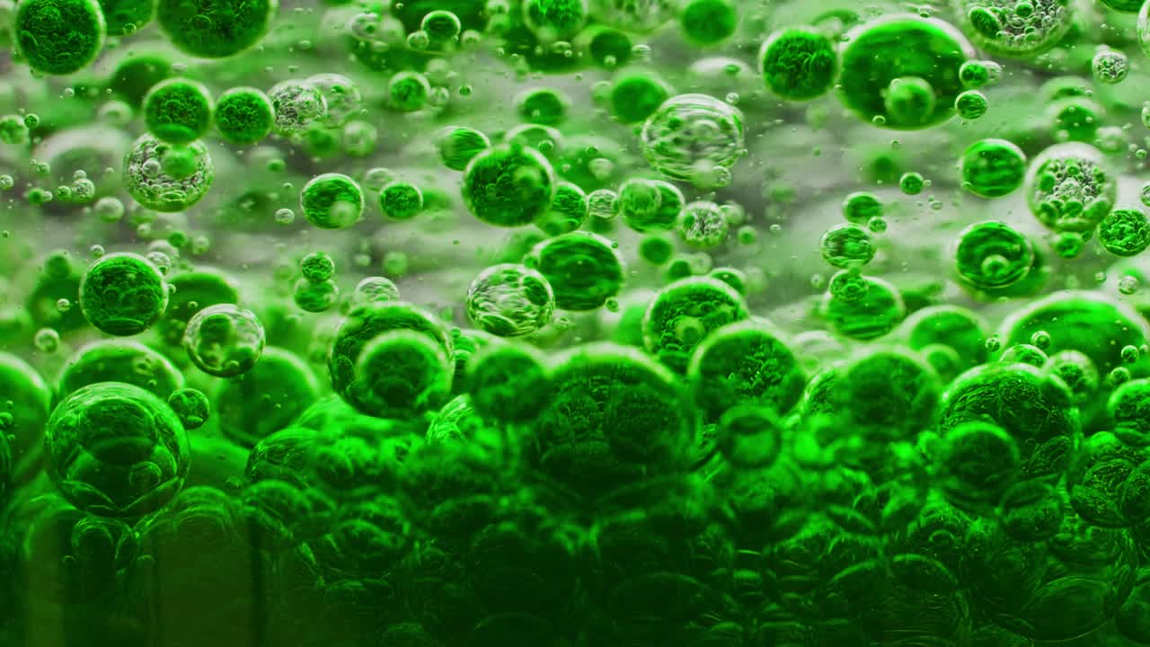 천천히 물 속에서 땅으로 떨어지는 녹색 거품의 매크로 샷